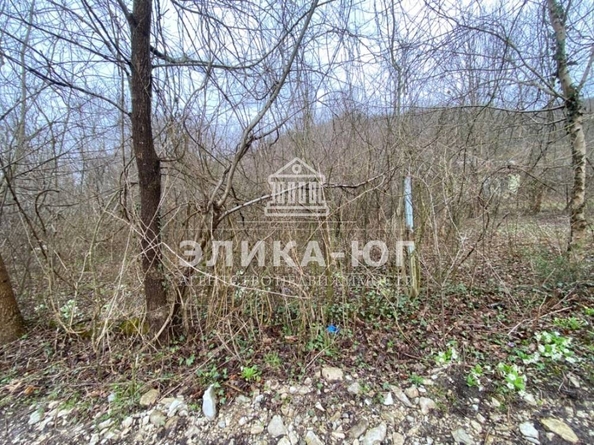 
  Продается земельный участок, 5 соток, село Тенгинка
. Фото 2.