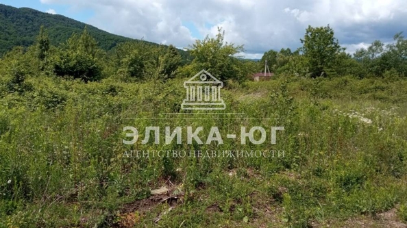 
  Продается земельный участок 12 соток. Фото 5.