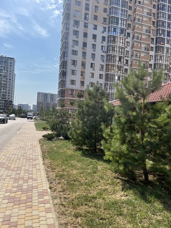 
   Продам 1-комнатную, 36 м², Анапское ш, 32к4

. Фото 11.