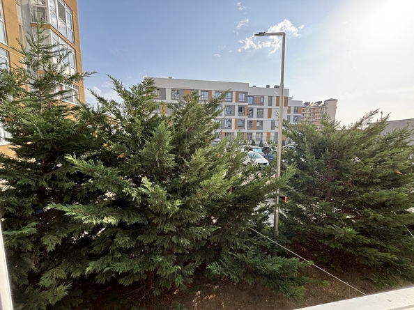 
   Продам 1-комнатную квартира, 38 м², Пионерский пр-кт, 57к3

. Фото 10.