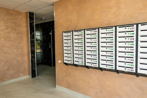 
  Продается студия, 24.9 м², ЖК Зеленодар, литера 7
. Фото 4.