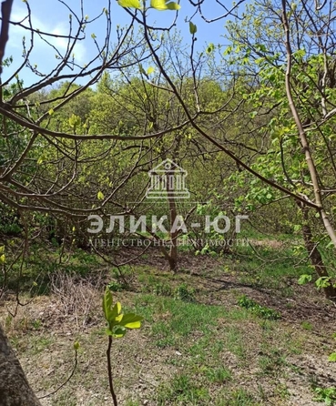 
  Продается земельный участок, 16.4 соток, село Пляхо
. Фото 9.