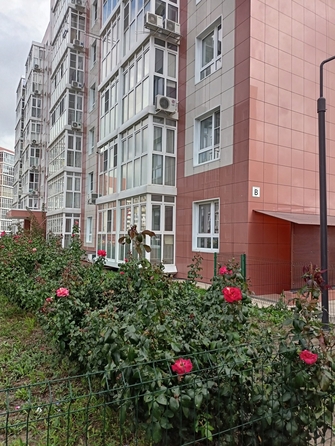 
   Продам студию квартира, 18 м², Мирная ул, 29к1

. Фото 15.