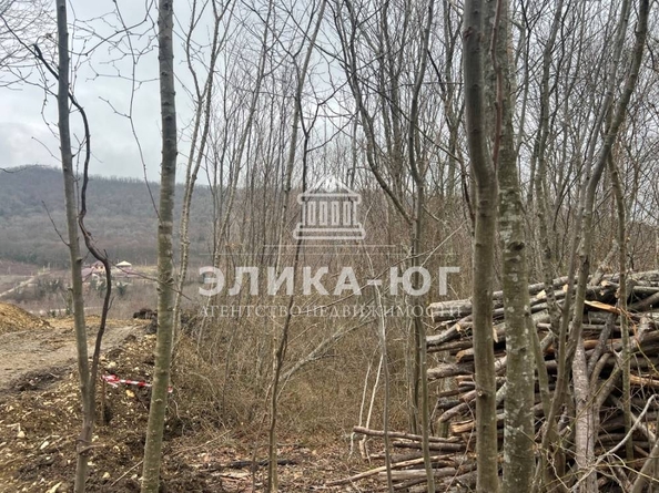 
  Продается земельный участок, 8.41 соток, село Бжид
. Фото 1.