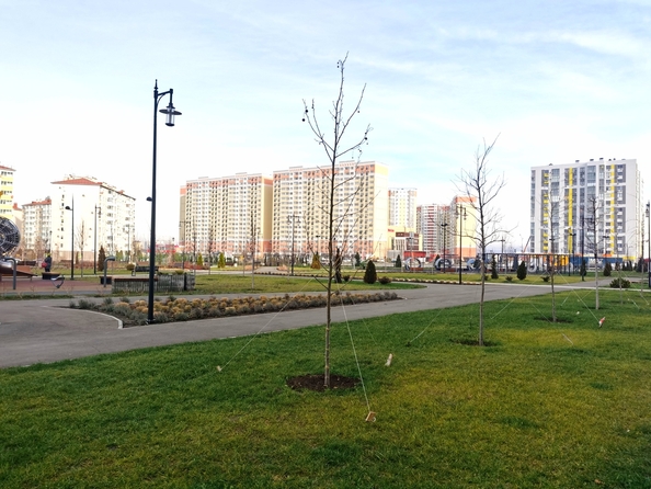 
   Продам студию, 25 м², Адмирала Пустошкина ул, 22с1

. Фото 18.