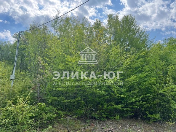 
  Продается земельный участок, 7.67 соток, село Бжид
. Фото 1.