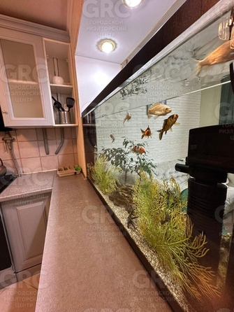 
   Продам 3-комнатную, 62 м², Просвещения ул, 81

. Фото 15.