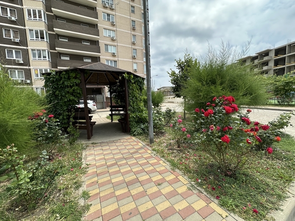 
  Продается студия, 33 м², Верхняя дорога ул, д. 151к1
. Фото 23.