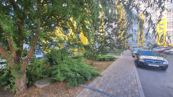 
  Продается 1-комн. квартира, 45 м², Адмирала Пустошкина ул, д. 22к7
. Фото 31.