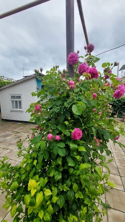 
  Продается дом, 300 м², Анапа
. Фото 45.