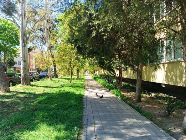
  Продается 2-комн. квартира, 65 м², Ленина ул, д. 192
. Фото 15.