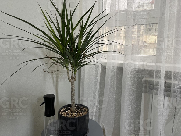 
  Продается студия, 53.2 м², Целинная ул, д. 13а
. Фото 12.