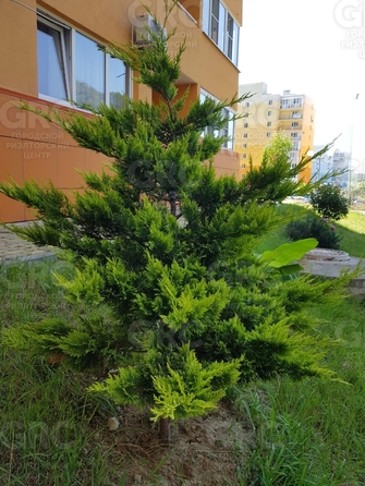 
  Продается 2-комн. квартира, 37 м², Тепличная ул, д. 79
. Фото 19.