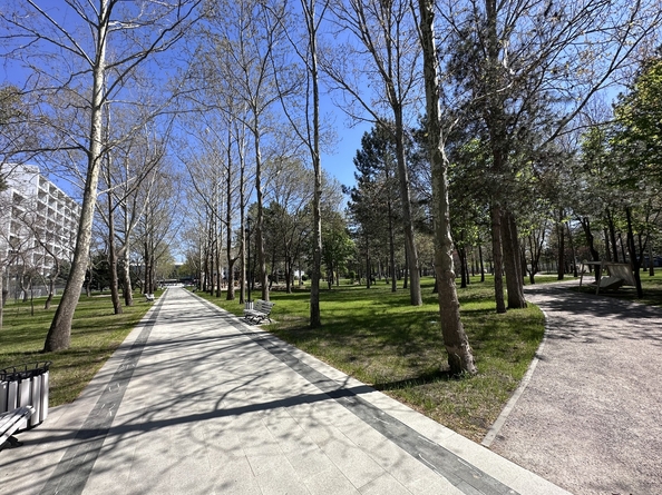 
  Продается студия, 23 м², Пионерский пр-кт, д. 20
. Фото 23.