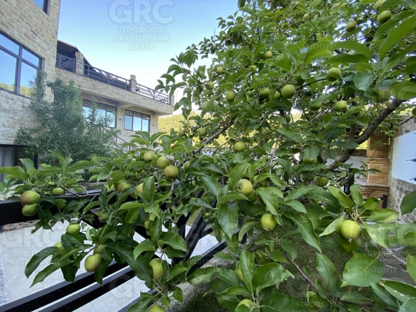 
  Продается дом, 500 м², Сочи
. Фото 59.