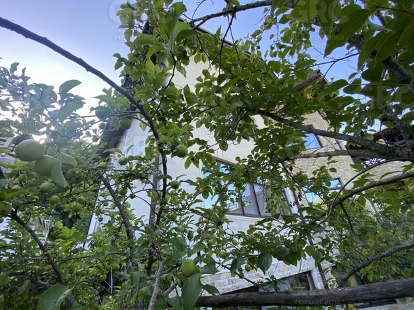 
  Продается дом, 500 м², Сочи
. Фото 61.