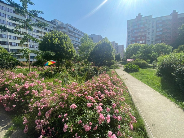 
  Продается 2-комн. квартира, 63 м², Батумское шоссе ул, д. 67
. Фото 14.