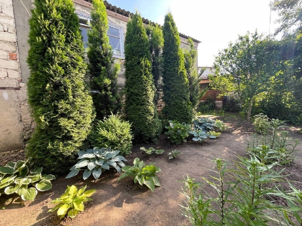 
  Продается дом, 30 м², хутор Вестник
. Фото 19.