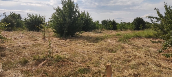 
  Продам земельный участок, 90 соток, станица Полтавская
. Фото 1.