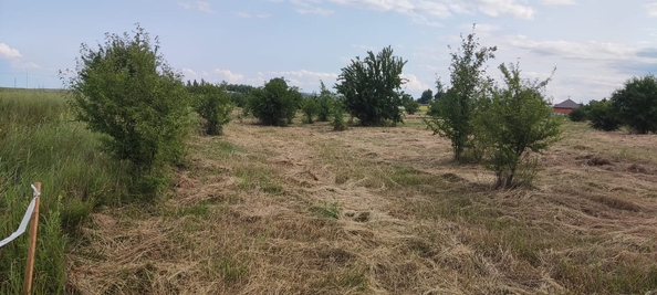 
  Продам земельный участок, 90 соток, станица Полтавская
. Фото 11.