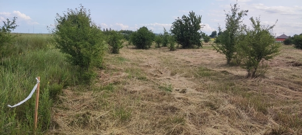 
  Продам земельный участок, 90 соток, станица Полтавская
. Фото 12.