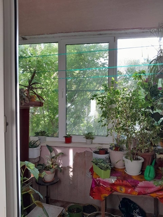 
  Продается 2-комн. квартира, 49 м², Орджоникидзе ул
. Фото 2.