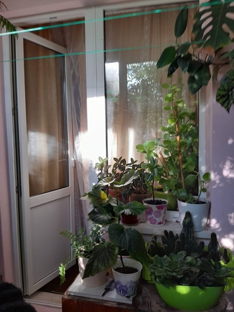 
  Продается 2-комн. квартира, 49 м², Орджоникидзе ул
. Фото 5.