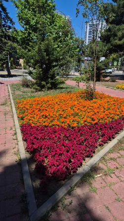 
  Продается 1-комн. квартира, 29 м², Терская ул, д. 39
. Фото 13.