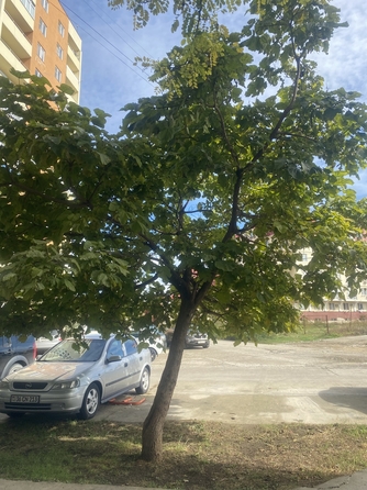 
  Продается 2-комн. квартира, 71 м², Северный пер, д. 1
. Фото 29.