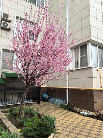 
  Продается 1-комн. квартира, 41 м², 40 лет Победы ул, д. 114
. Фото 34.