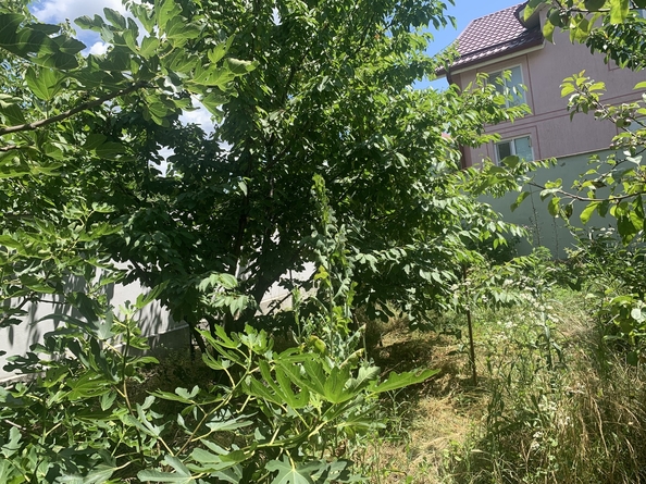 
  Продается дом, 77 м², поселок Пятихатки
. Фото 37.