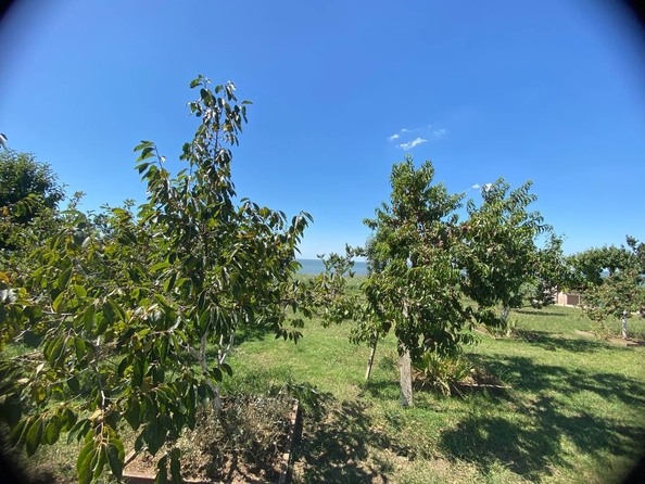 
  Продается дом, 164 м², село Витязево
. Фото 38.
