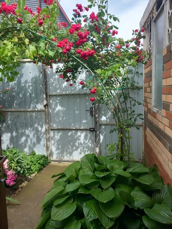 
  Продам дом, 40.5 м², Краснодар
. Фото 7.