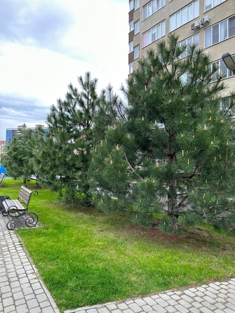 
  Продается студия, 29 м², Владимирская ул, д. 154к2
. Фото 8.