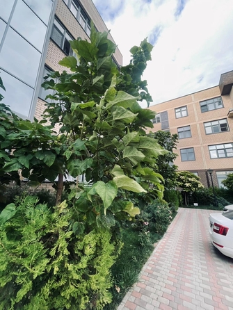 
  Продается 1-комн. квартира, 45 м², Ленина ул, д. 202к2
. Фото 3.