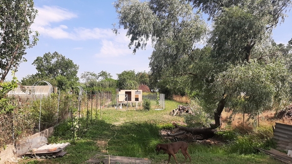 
  Продается дом, 56 м², село Цибанобалка
. Фото 1.