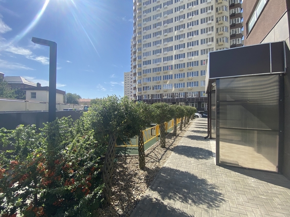 
  Продается студия, 26 м², Рождественская ул, д. 55к3
. Фото 16.