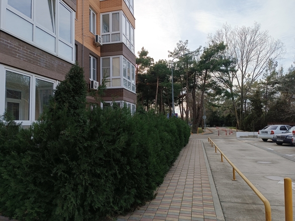 
  Продается 2-комнатный апартамент, 54 м², Пионерский пр-кт, д. 274Б
. Фото 22.