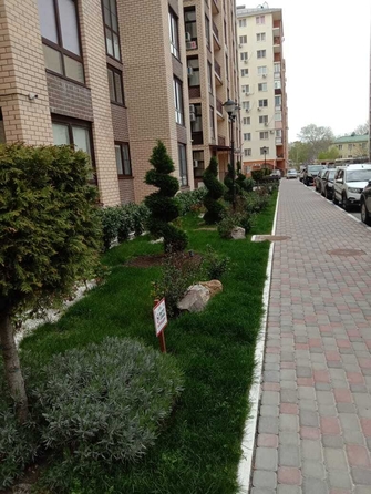 
  Продается студия, 26 м², Парковая ул, д. 61к3
. Фото 11.