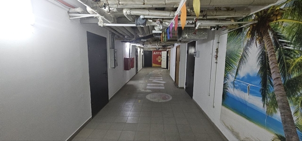 
  Продается апартамент, 18 м², Адмирала Пустошкина ул, д. 22к3
. Фото 14.