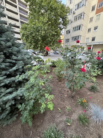 
  Продается 1-комн. квартира, 43 м², Шевченко ул, д. 288Бк2
. Фото 29.