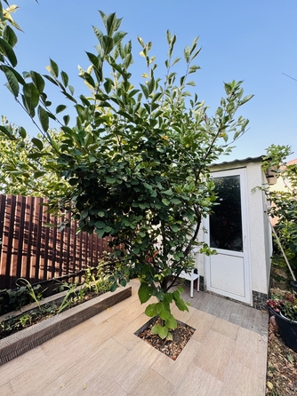 
  Продается дом, 130 м², станица Анапская
. Фото 6.