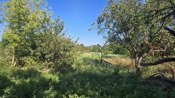 
  Продается дом, 100 м², станица Варениковская
. Фото 25.