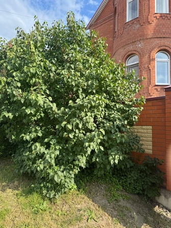 
  Продается студия, 26 м², Николаевская ул, д. 10
. Фото 13.