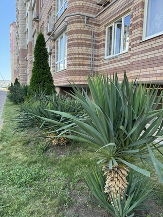 
  Продается 2-комн. квартира, 66 м², Крылова ул, д. 15к1
. Фото 4.