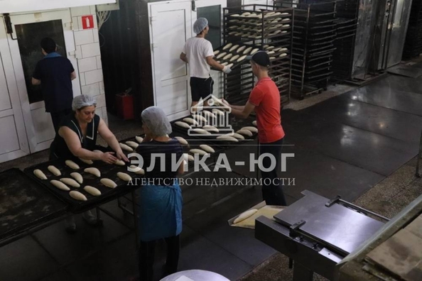 
  Продается готовый бизнес, 1000 м², Колхозная ул
. Фото 1.
