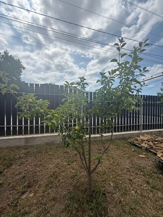 
  Продается дом, 140 м², станица Анапская
. Фото 26.