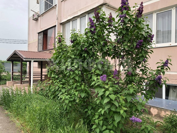 
  Продается студия, 19.9 м², Строителей ул, д. 2
. Фото 13.