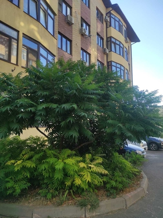 
  Продается 1-комн. квартира, 35 м², Ленина ул, д. 180Ак6
. Фото 18.