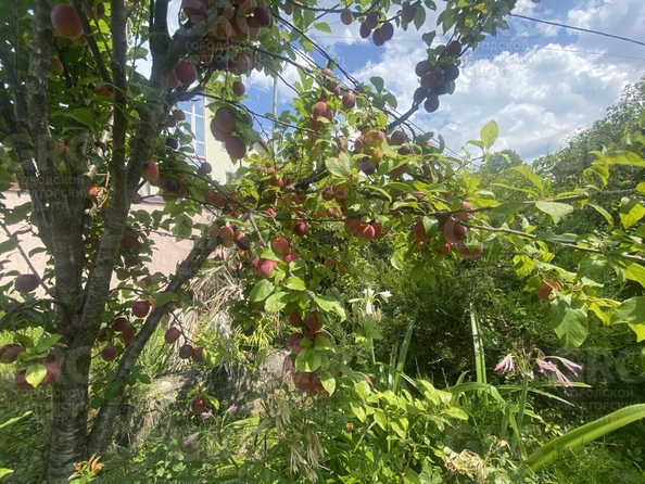 
  Продается дом, 83 м², Сочи
. Фото 4.